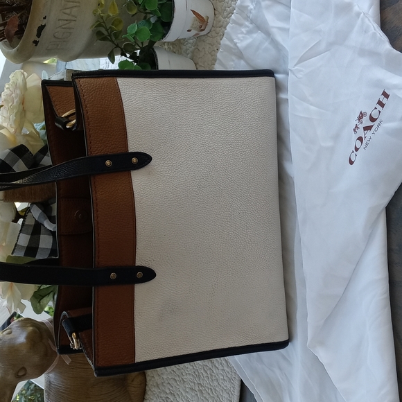 COACH COLOR BLOCK 30 TOTE WITH SATIN DUSTBAG - Picture 3 of 16